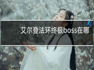 艾尔登法环终极boss在哪