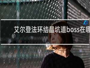 艾尔登法环结晶坑道boss在哪