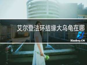 艾尔登法环结缘大乌龟在哪