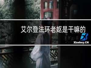 艾尔登法环老妪是干嘛的