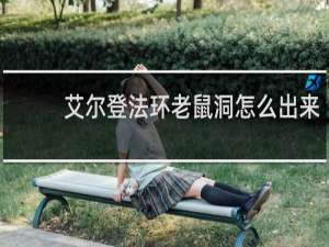 艾尔登法环老鼠洞怎么出来