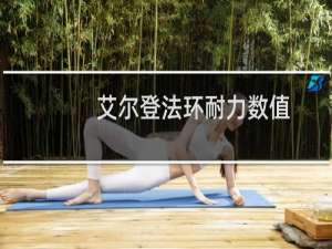 艾尔登法环耐力数值