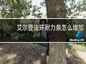 艾尔登法环耐力条怎么增加