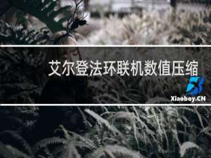 艾尔登法环联机数值压缩