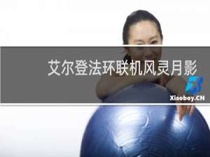 艾尔登法环联机风灵月影