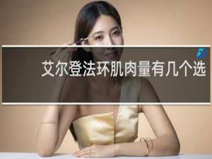 艾尔登法环肌肉量有几个选