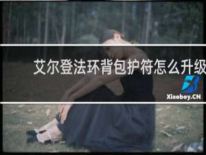 艾尔登法环背包护符怎么升级
