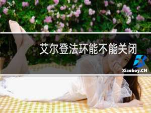 艾尔登法环能不能关闭