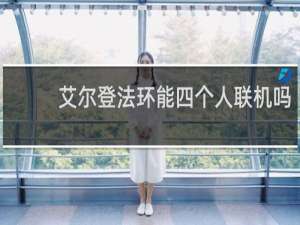 艾尔登法环能四个人联机吗