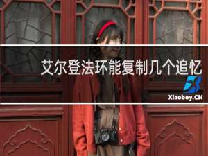 艾尔登法环能复制几个追忆