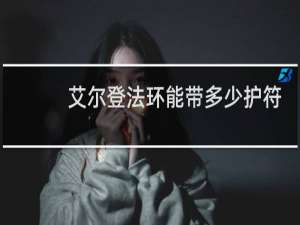 艾尔登法环能带多少护符