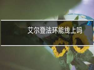 艾尔登法环能线上吗
