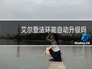 艾尔登法环能自动升级吗