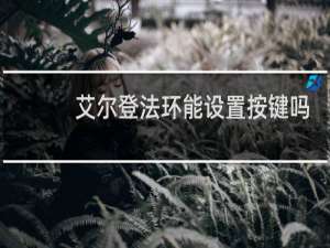 艾尔登法环能设置按键吗