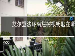 艾尔登法环腐烂树根钥匙在哪