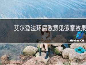 艾尔登法环腐败意见徽章效果