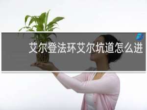 艾尔登法环艾尔坑道怎么进