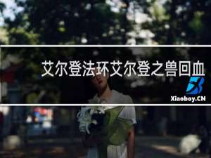 艾尔登法环艾尔登之兽回血