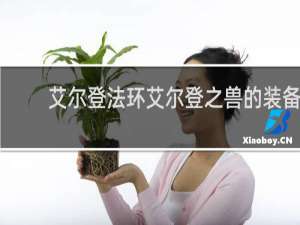 艾尔登法环艾尔登之兽的装备