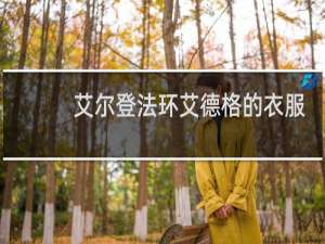 艾尔登法环艾德格的衣服