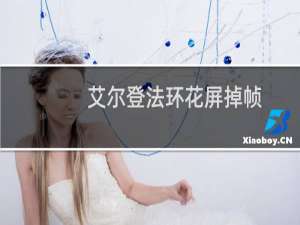 艾尔登法环花屏掉帧
