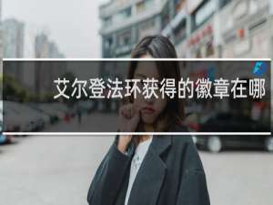 艾尔登法环获得的徽章在哪