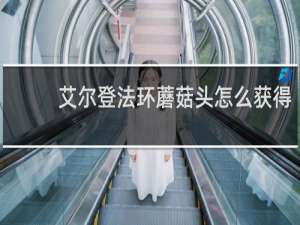 艾尔登法环蘑菇头怎么获得