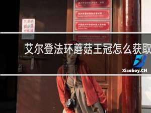 艾尔登法环蘑菇王冠怎么获取