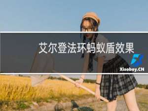 艾尔登法环蚂蚁盾效果