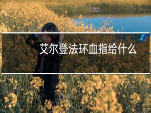 艾尔登法环血指给什么