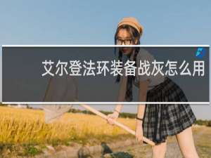 艾尔登法环装备战灰怎么用