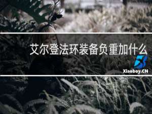 艾尔登法环装备负重加什么