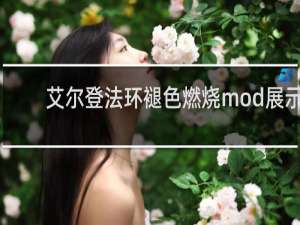 艾尔登法环褪色燃烧mod展示