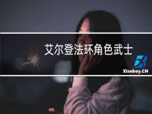 艾尔登法环角色武士