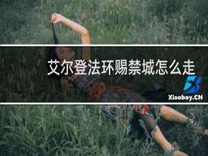 艾尔登法环赐禁城怎么走