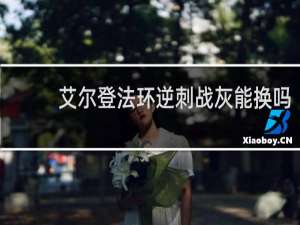 艾尔登法环逆刺战灰能换吗