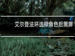 艾尔登法环选择角色后黑屏