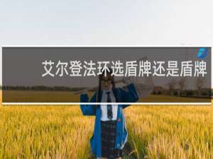 艾尔登法环选盾牌还是盾牌