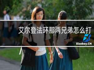 艾尔登法环那两兄弟怎么打