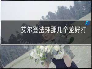 艾尔登法环那几个龙好打