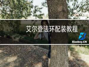 艾尔登法环配装教程