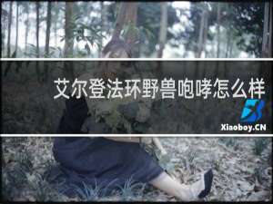 艾尔登法环野兽咆哮怎么样