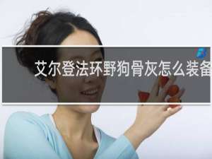 艾尔登法环野狗骨灰怎么装备