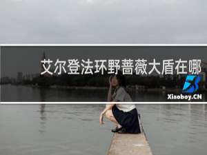 艾尔登法环野蔷薇大盾在哪