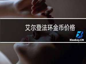艾尔登法环金币价格