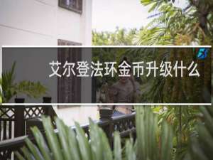 艾尔登法环金币升级什么