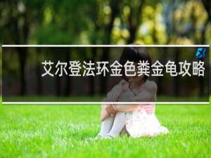 艾尔登法环金色粪金龟攻略