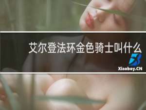 艾尔登法环金色骑士叫什么