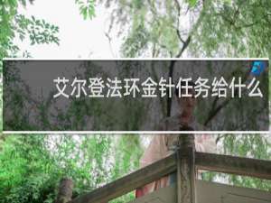 艾尔登法环金针任务给什么