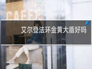 艾尔登法环金黄大盾好吗